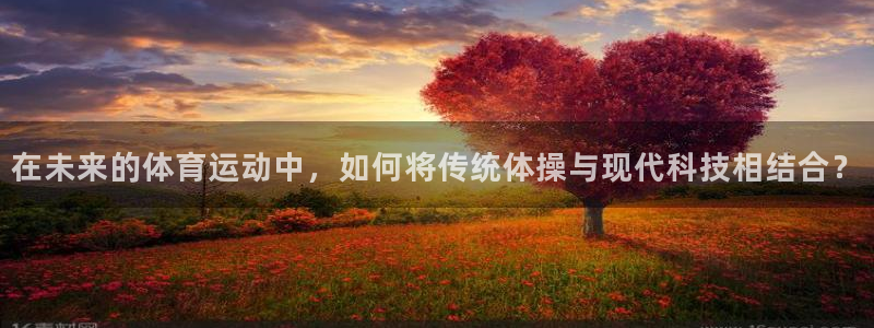 米兰体育官方正版app五金厂:在未来的体育运动中,如何将传统